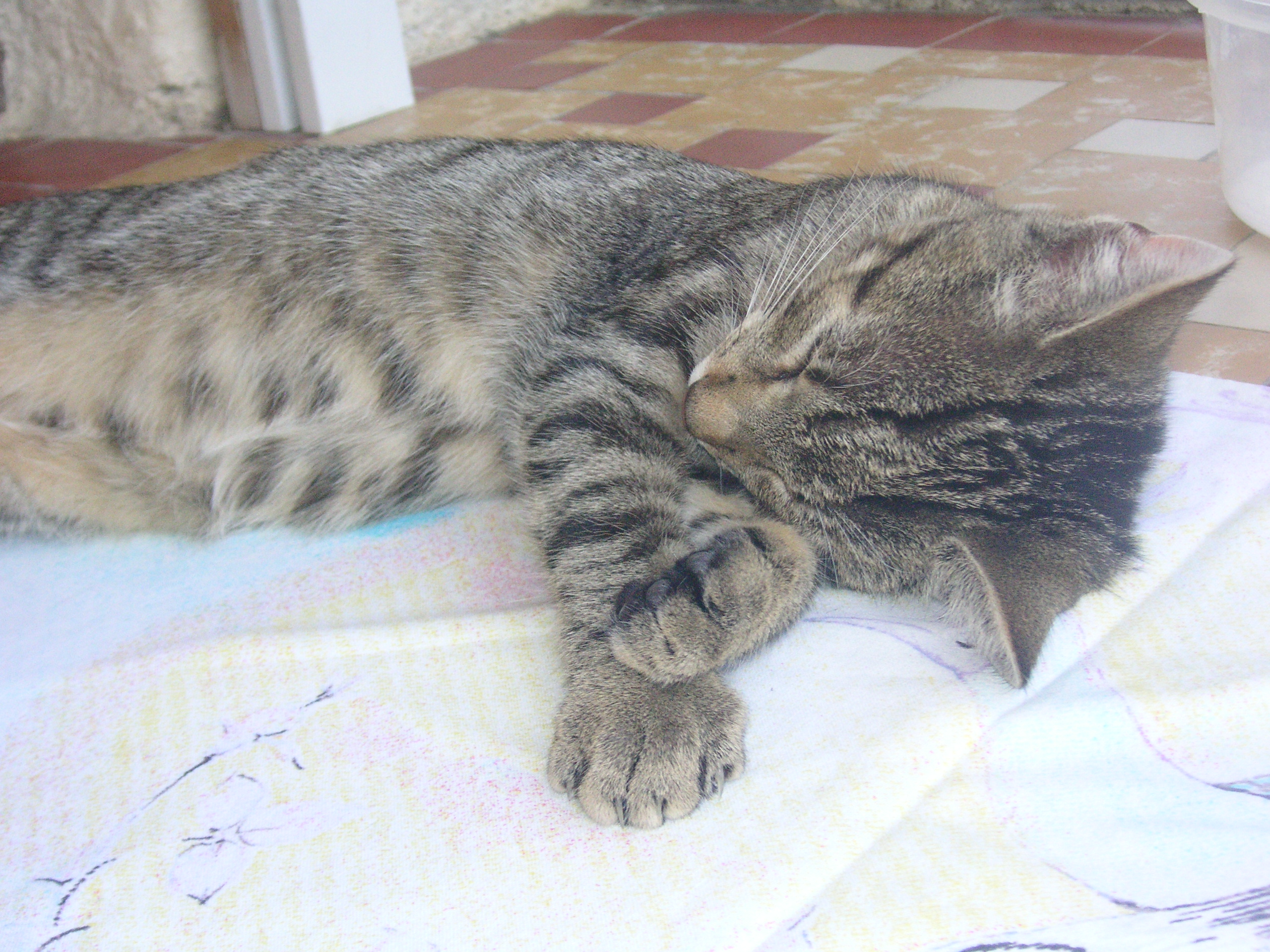 PICT2112.JPG