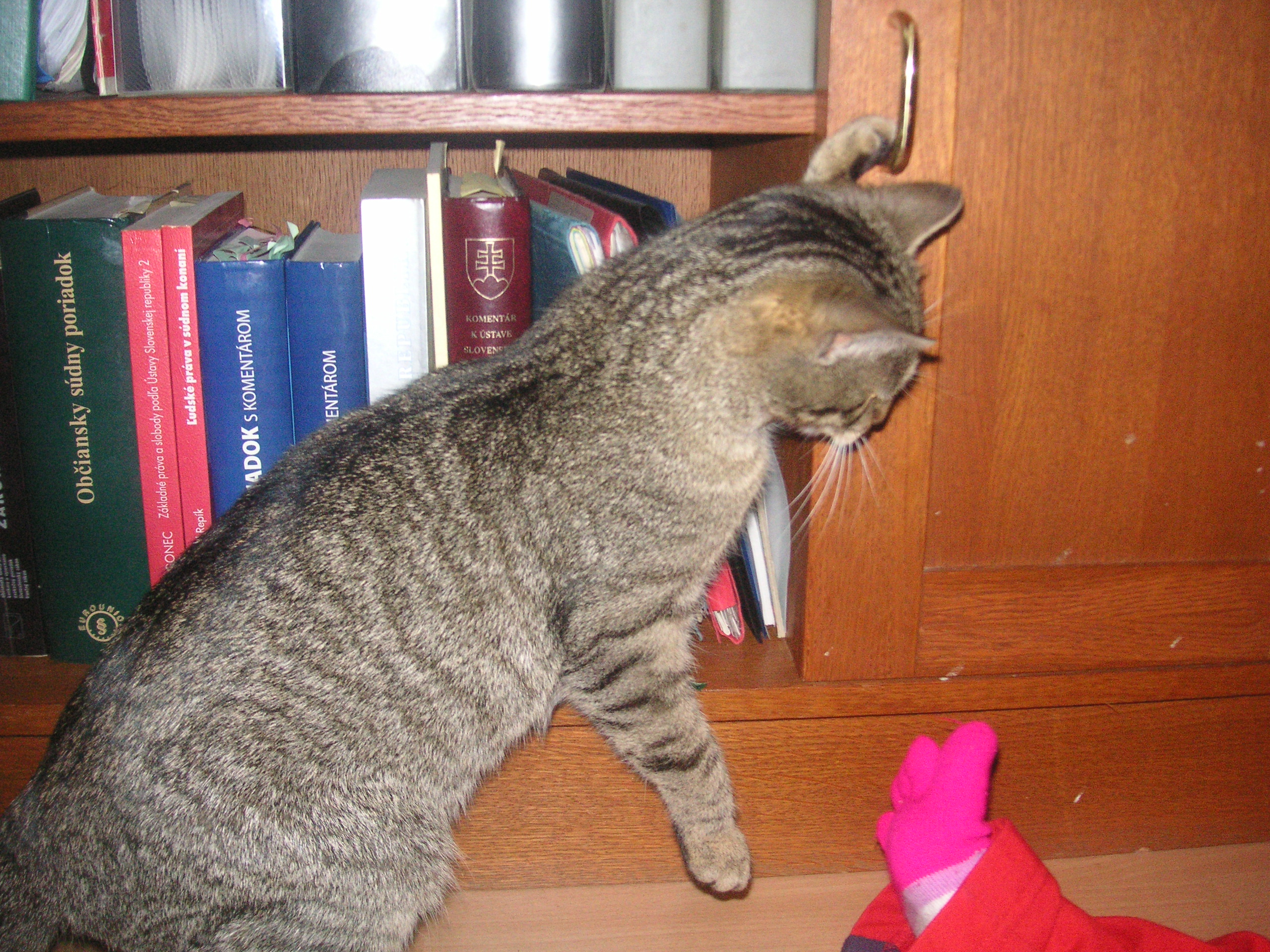 PICT0041.JPG