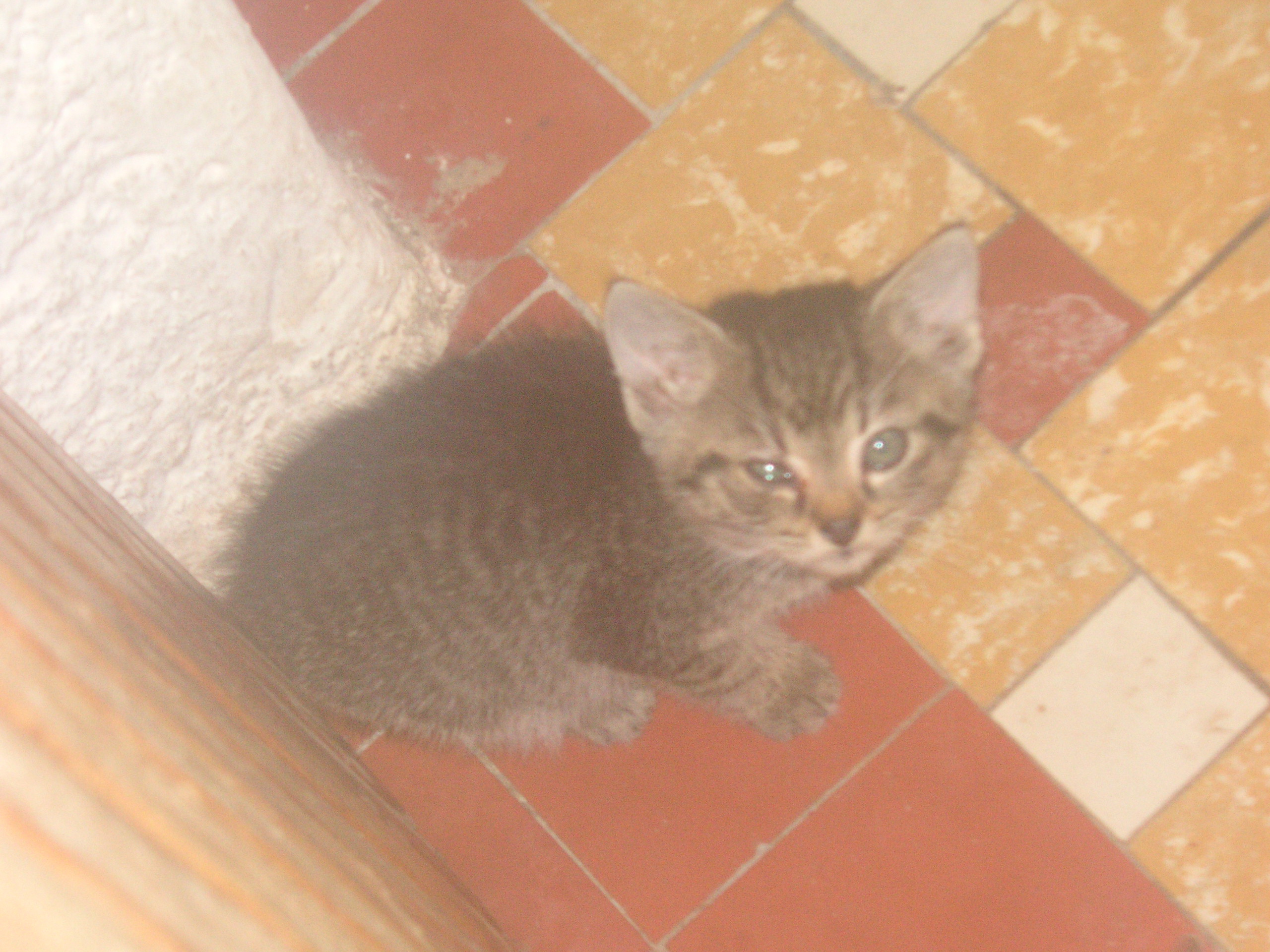 PICT0045.JPG