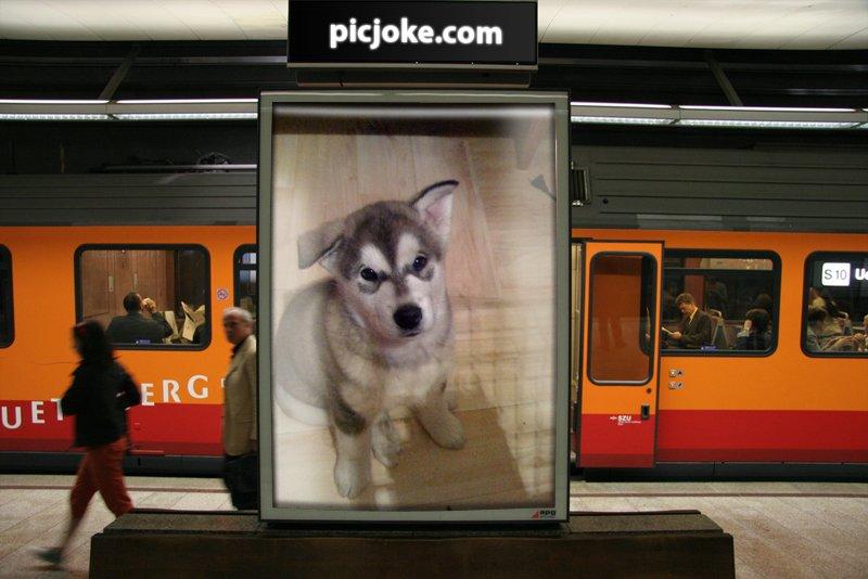 Obrázok1.jpg